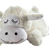 Wärmflasche oder Heizkissen?