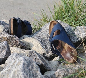 Birkenstock vs Betula Design