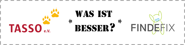 Tasso Oder Findefix Tierregister Was Ist Besser 