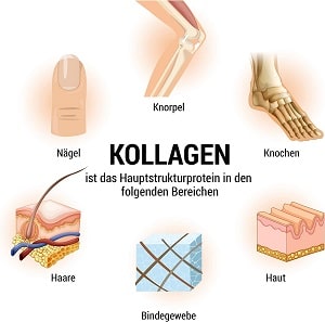 Kollagen Pulver vs Kapseln Einsatzbereiche