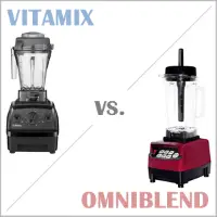 Vitamix E310 oder Omniblend V? (Standmixer)
