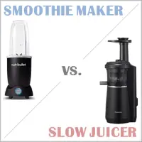 Smoothie-Maker oder Slow Juicer?