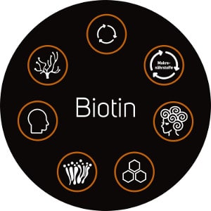 Biotin vs Priorin Vorteile